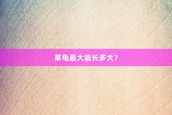 草龟最大能长多大?