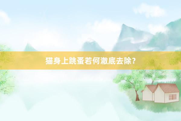猫身上跳蚤若何澈底去除？